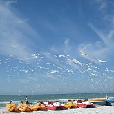 Marco Island Beach